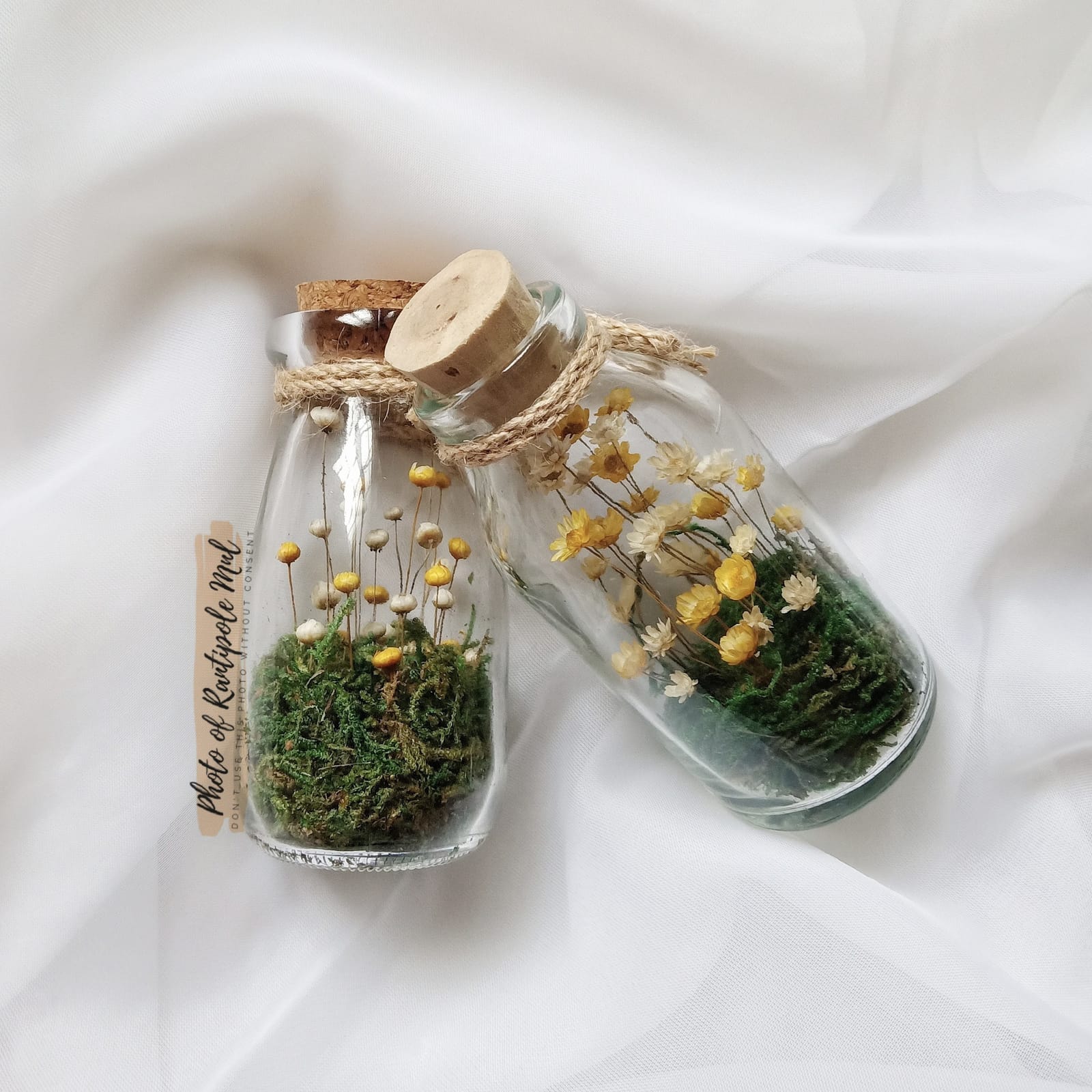 Yellow Daisy Bottle Terrarium, view 2