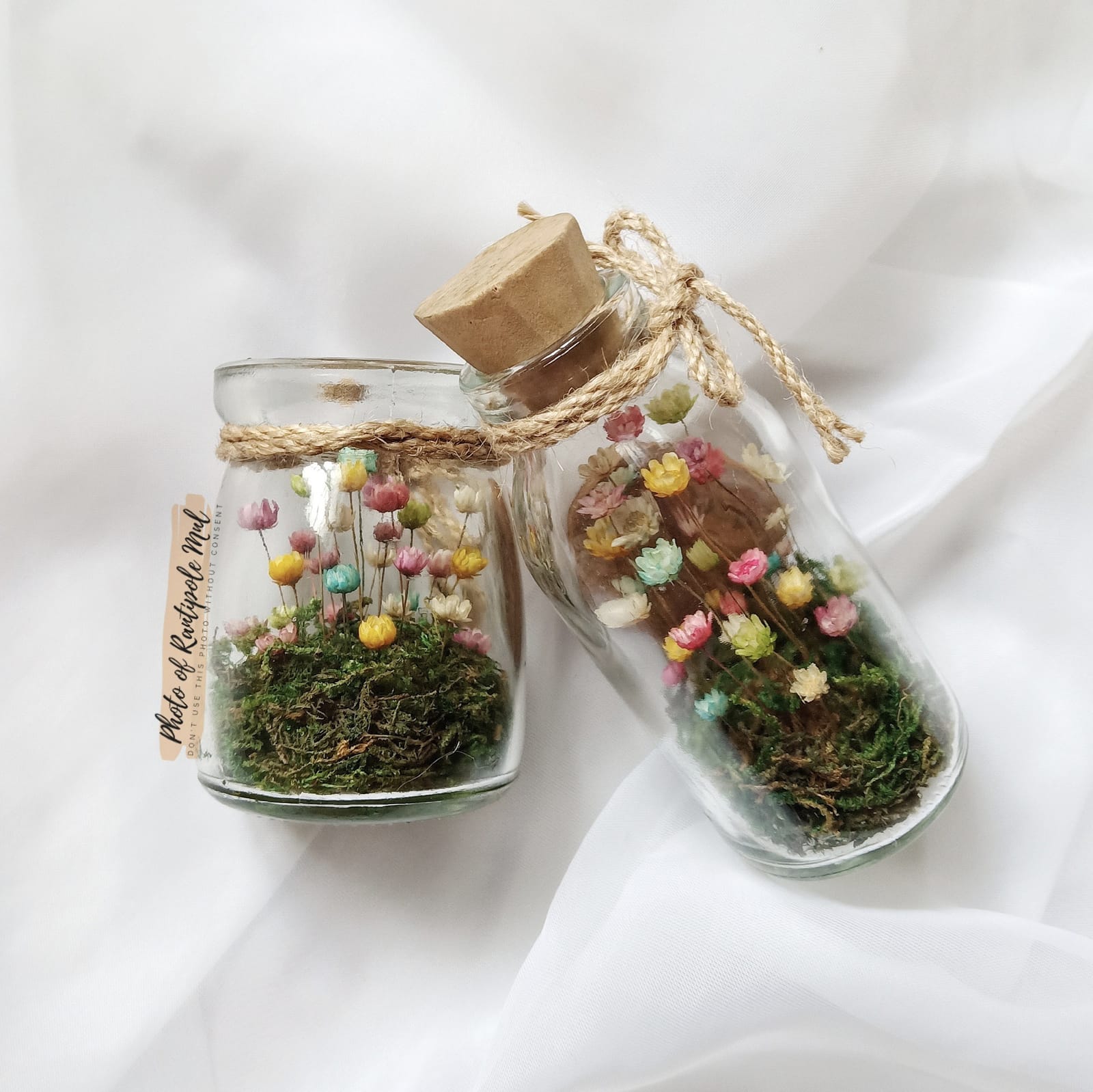 Mixed Wildflower Terrarium — Set of 4