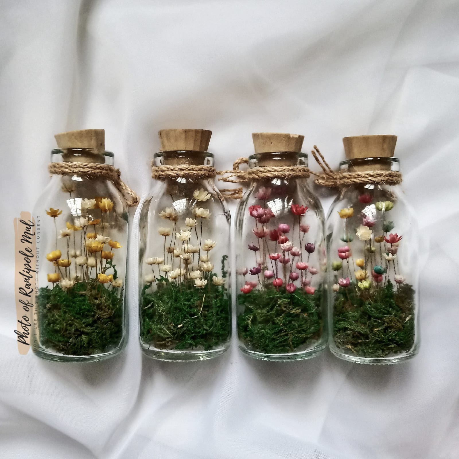 Mixed Wildflower Terrarium — Set of 4, view 2